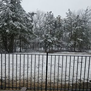 Meet your Posher, Tamara